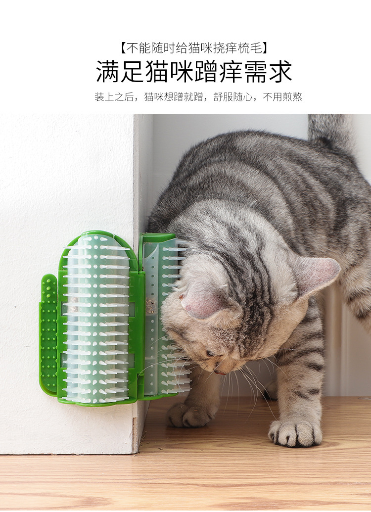 双开蹭毛器 (23)