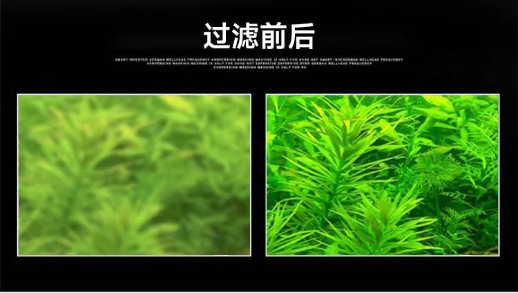a64b9270-51db-485a-b03c-1e9ef1de3844.jpe