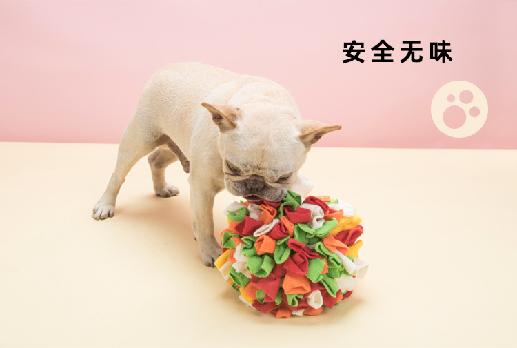 宠物闻嗅球_07.jpg