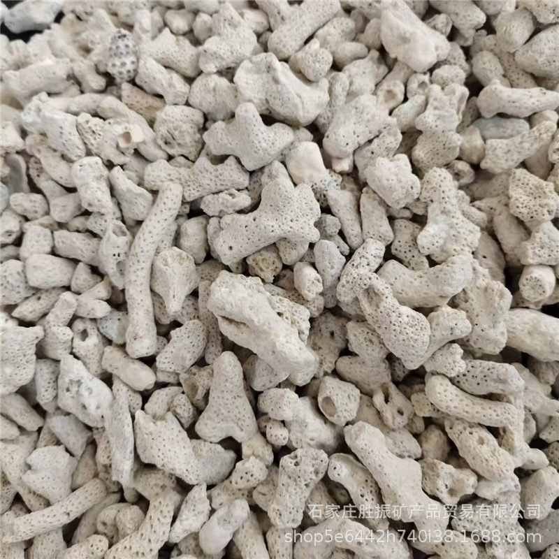 ac6b6fa2556327376e9ed5b10fffe0