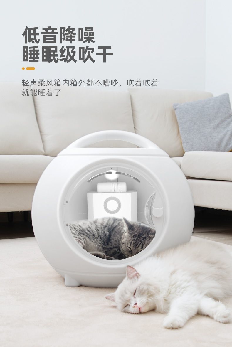 c843ed07-554b-49f0-9ed6-5a25d549482a.jpe