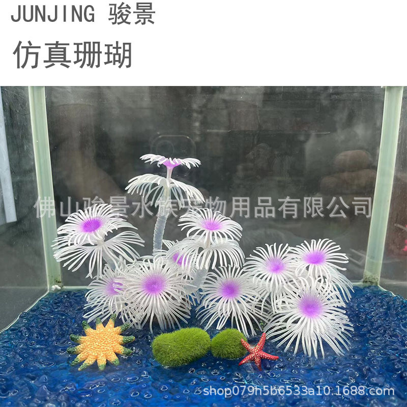 主图.jpg