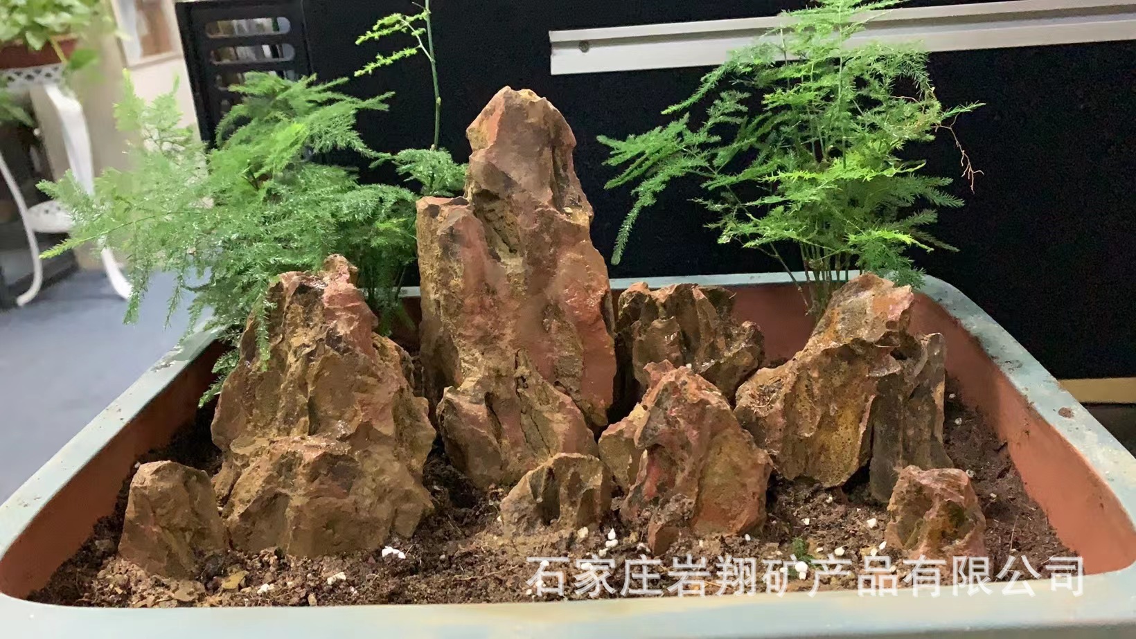 33c7639e1f64853d4d60c47c25ee80