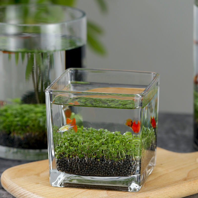 4103573e-e123-442a-9a27-f585c7dceda3.jpe