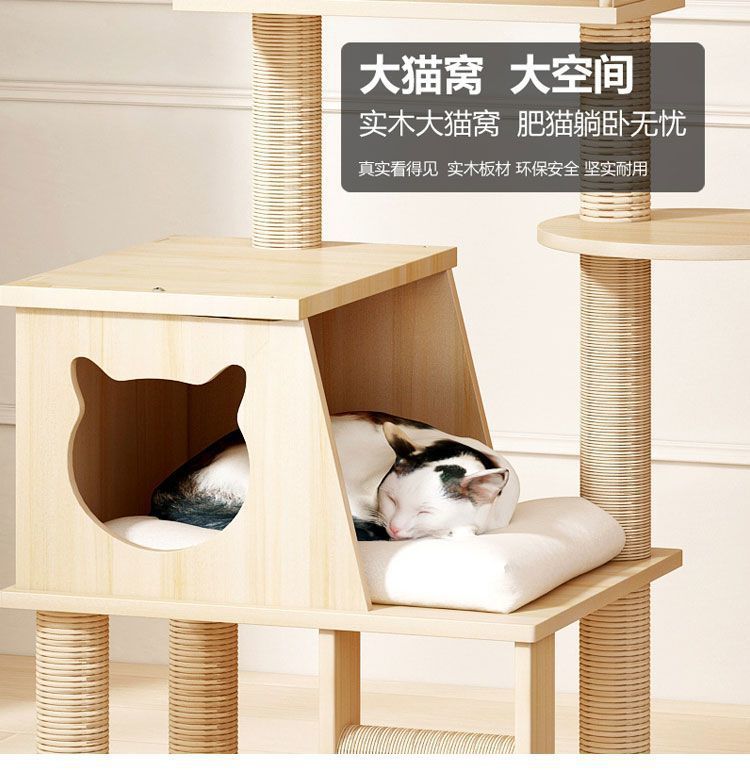 b5850982-961b-4dd3-a92b-ad7dd5b6e348.jpe