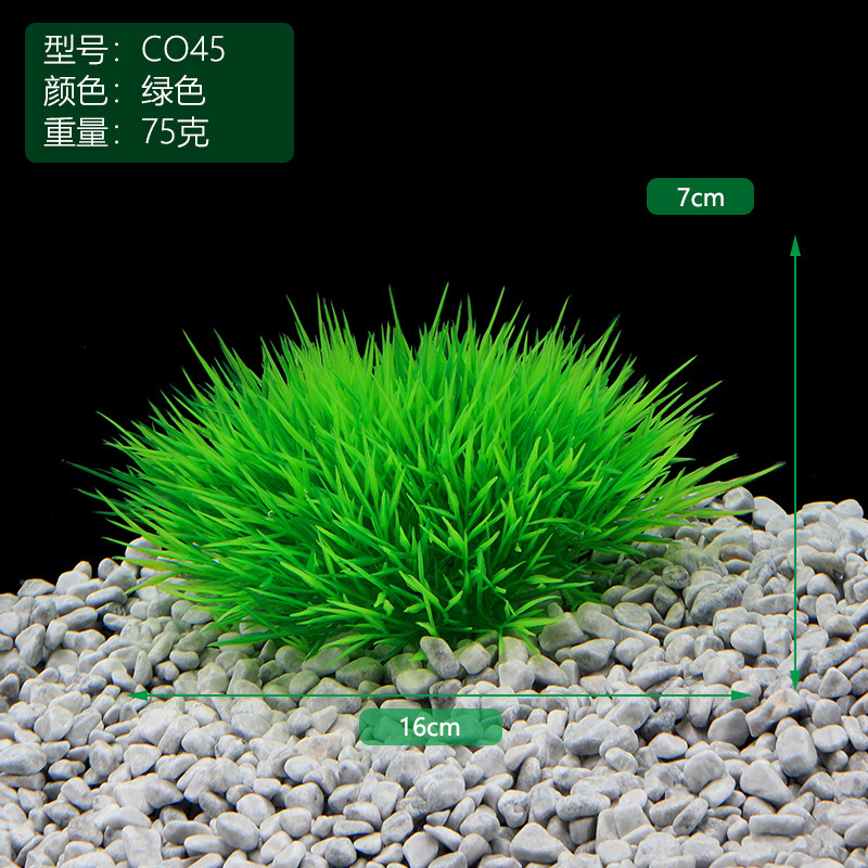 CO54绿色.JPG