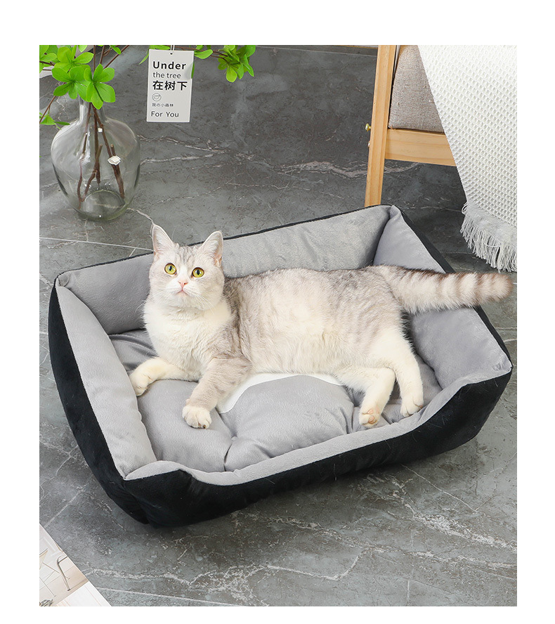 dd97ac36-86fd-422f-9f1a-8ba4fe2bc7c5.jpe