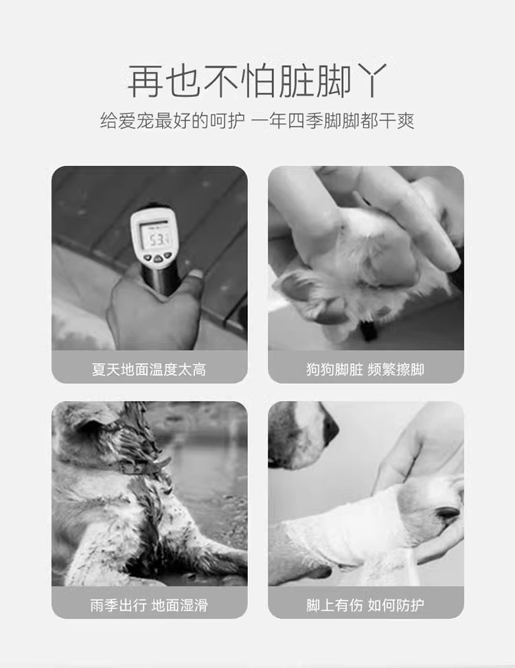 7488b880-39eb-4505-81f4-af27554c74b0.jpe