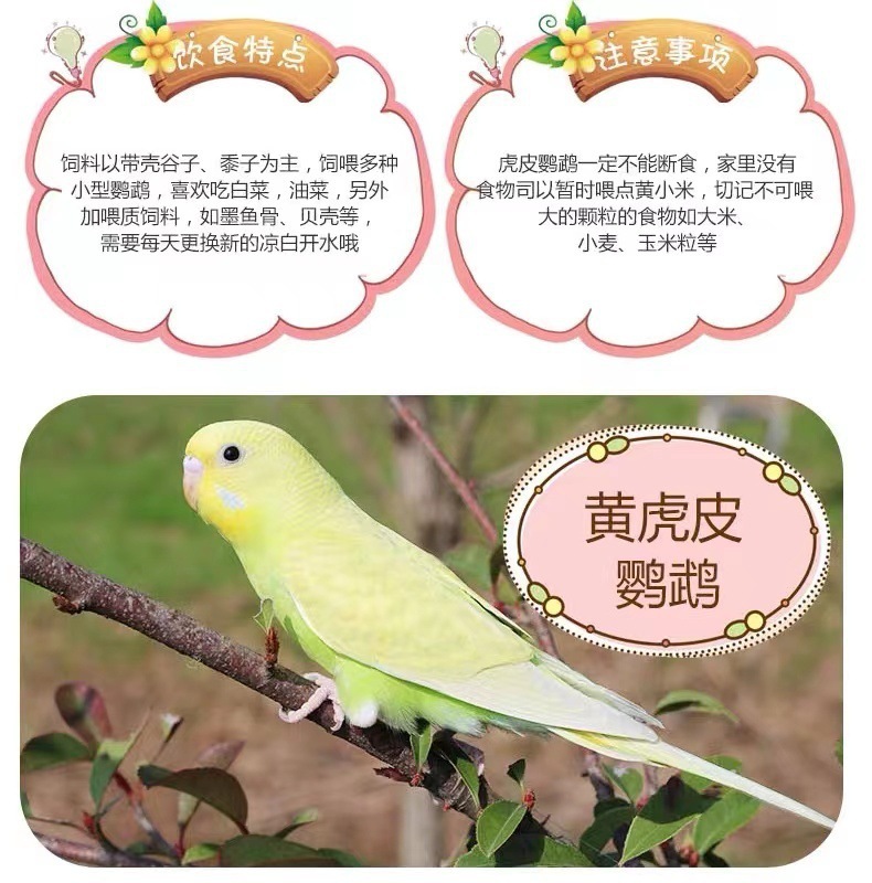 b7ec75f0-e140-47d6-ab1c-b733ef856266.jpe