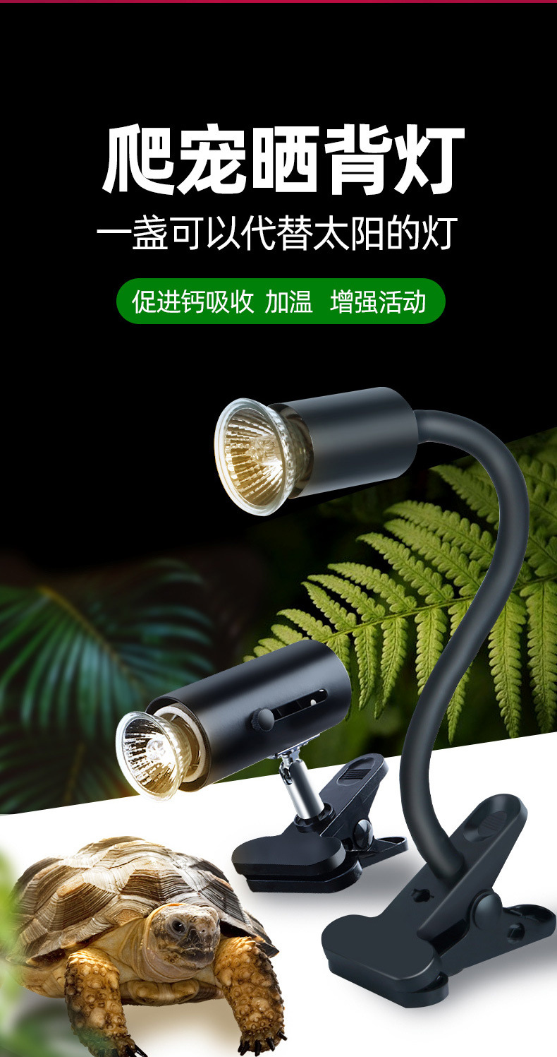 c2f8195d-43f1-4abd-a05f-194e94965288.jpe