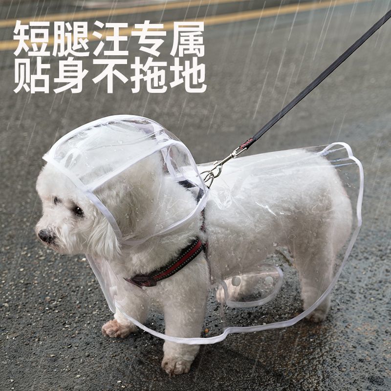 84c89cb1-814b-45fd-b5a7-51b7073a81ba.jpe