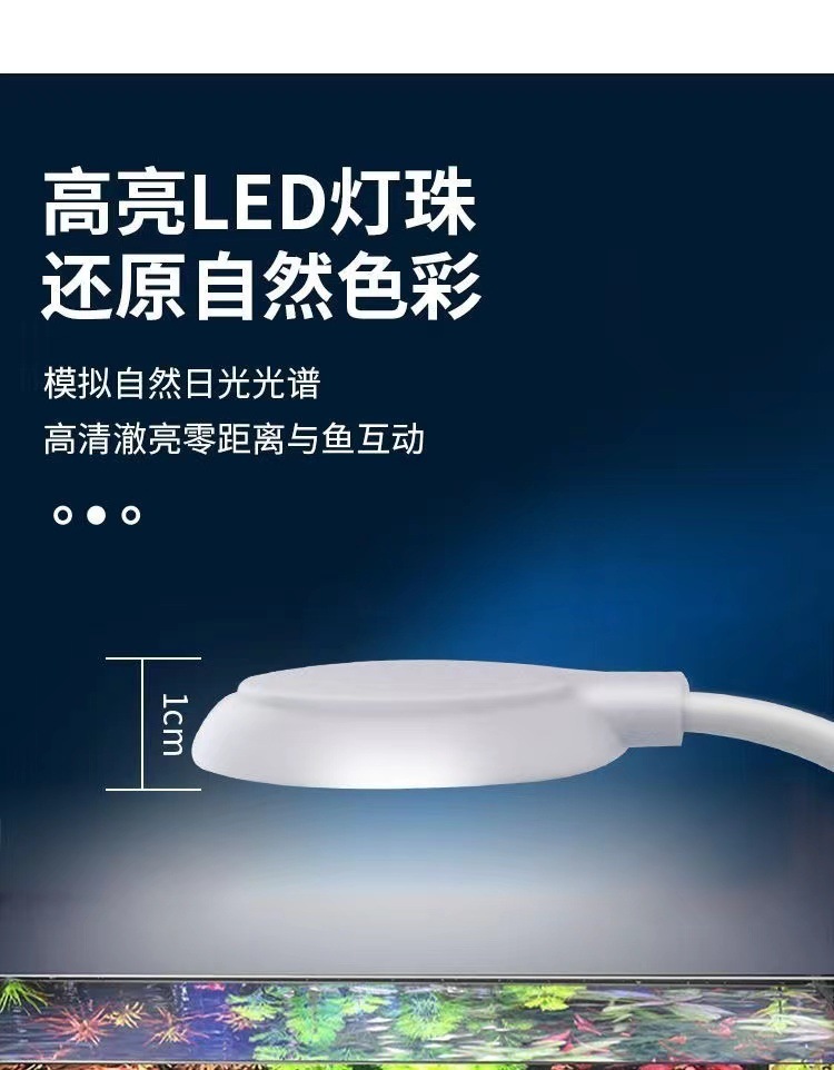 ccb76928-e2b4-4d50-8d69-bb0c7d073a61.jpe