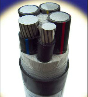 微信图片_20210306170729