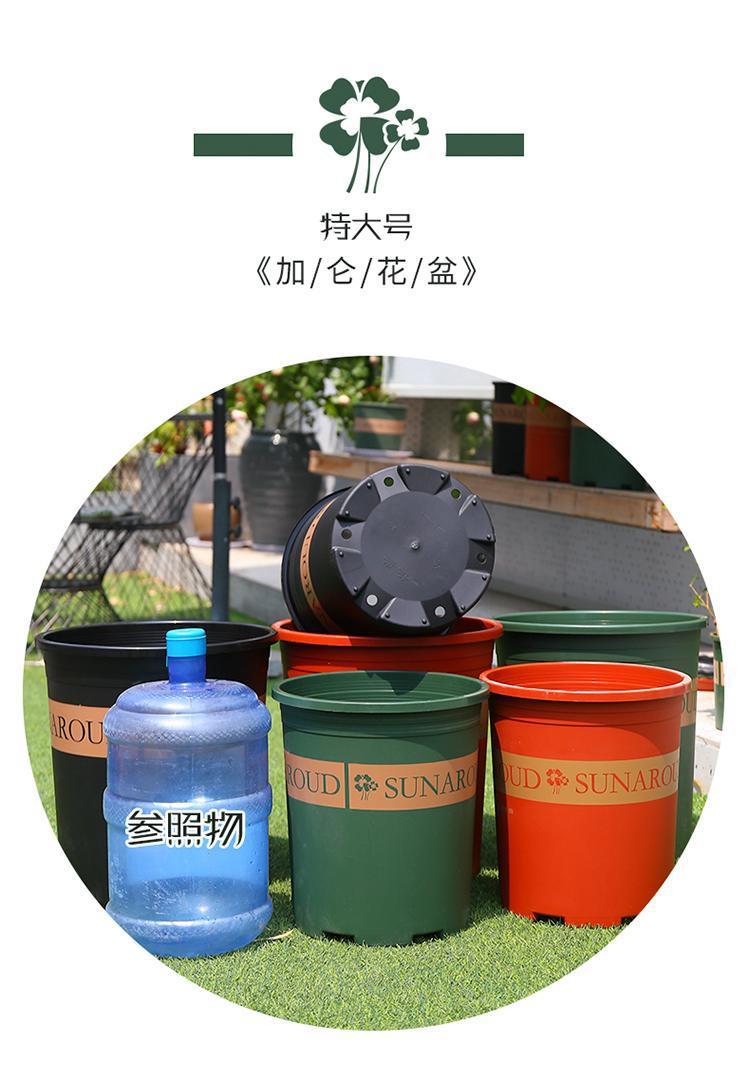 c7ad41cfb3204b5d9daf1088124db0b4.jpg