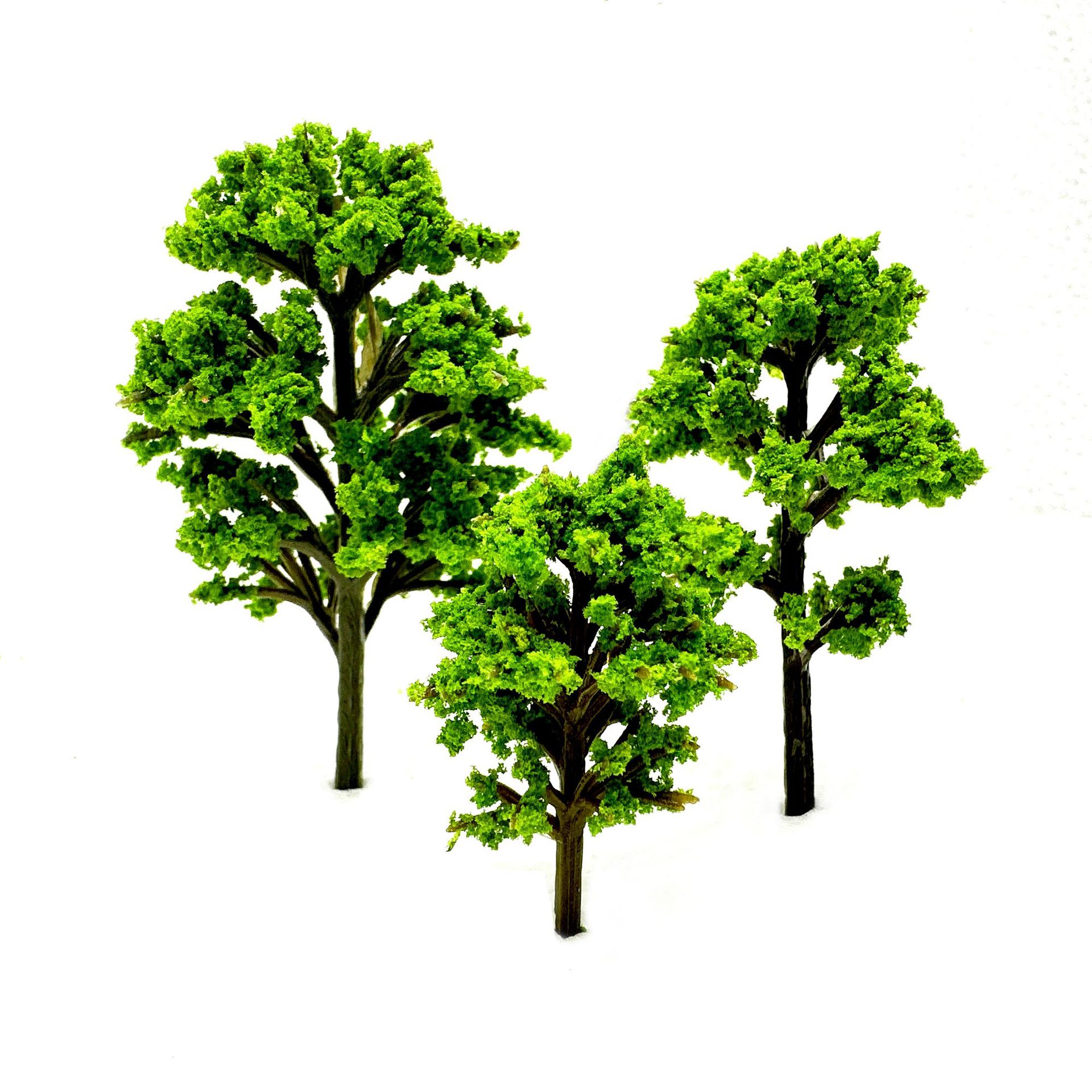 QQ图片20250226195919