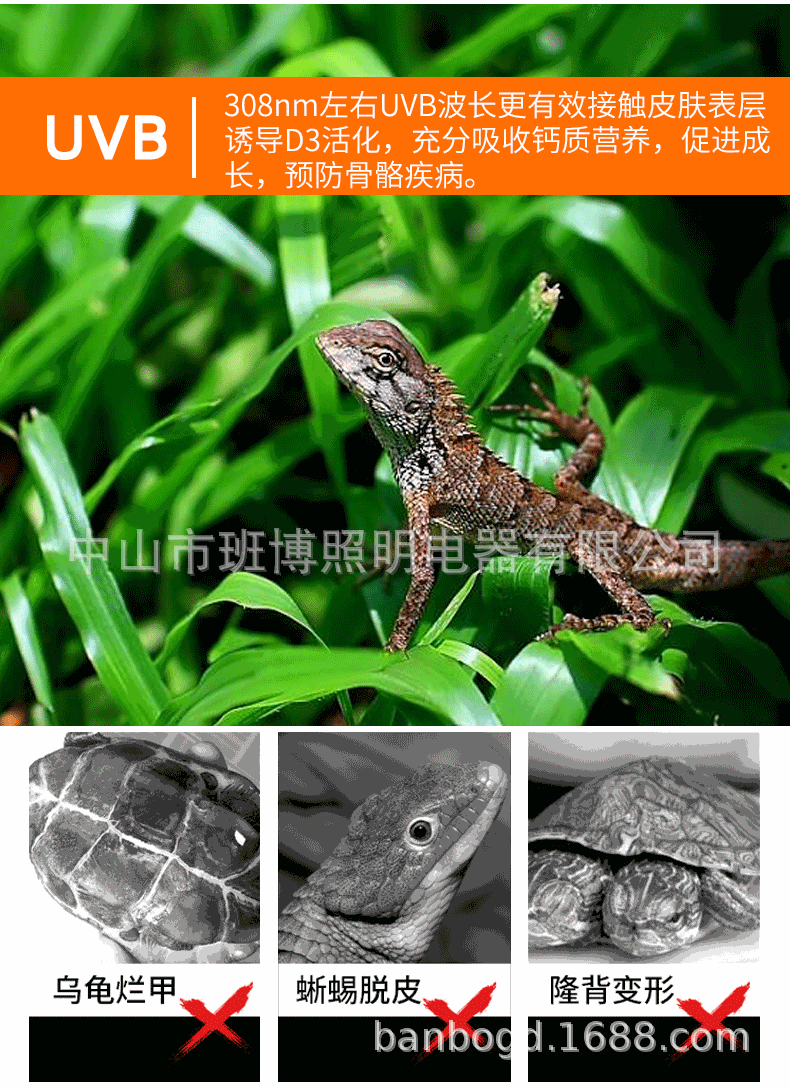 UVB灯3_06.gif