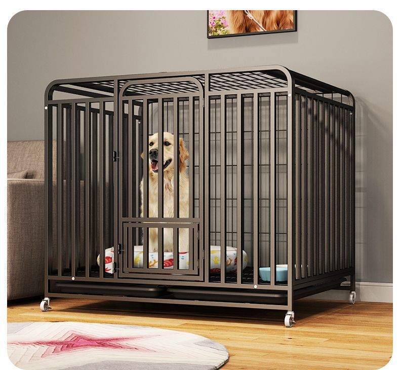 5782fdb7-9ce8-47b4-a375-117e630a12b9.jpe