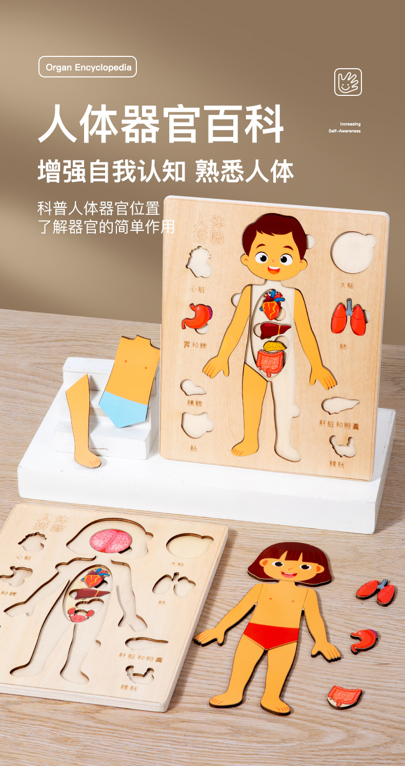 未标题-1_09.jpg?x-oss-process=image/format,png