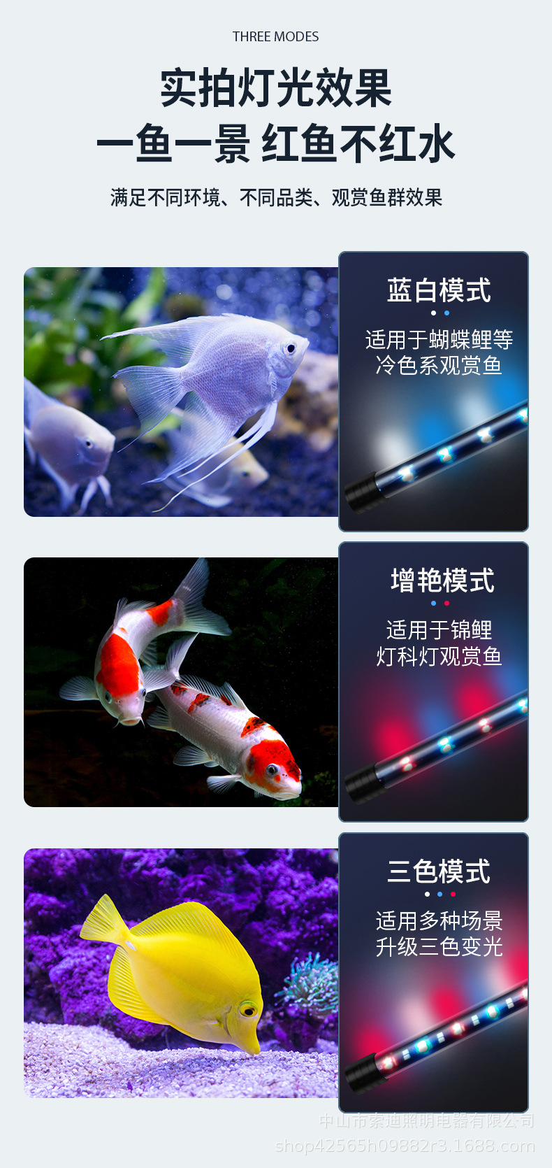 潜水灯_03.jpg