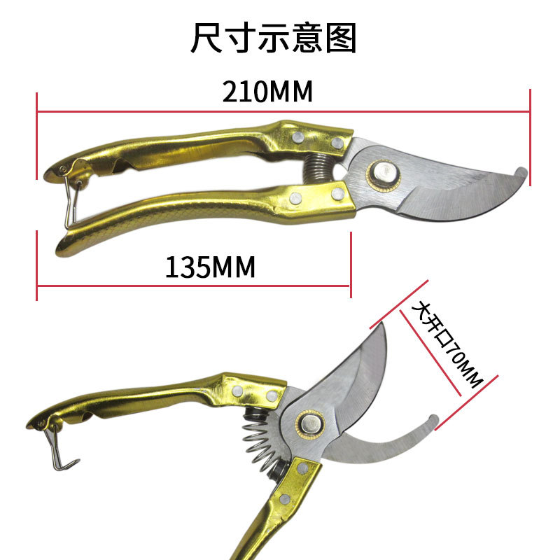 月牙形花枝剪尺寸