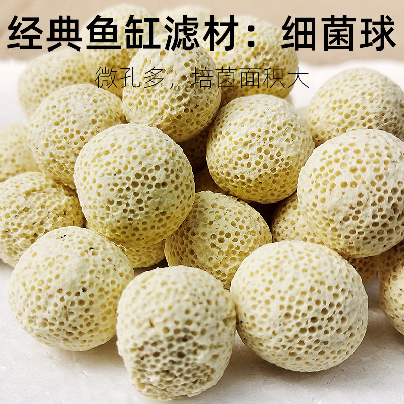 细菌球1