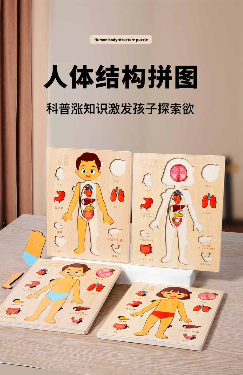 未标题-1_01.jpg?x-oss-process=image/format,png