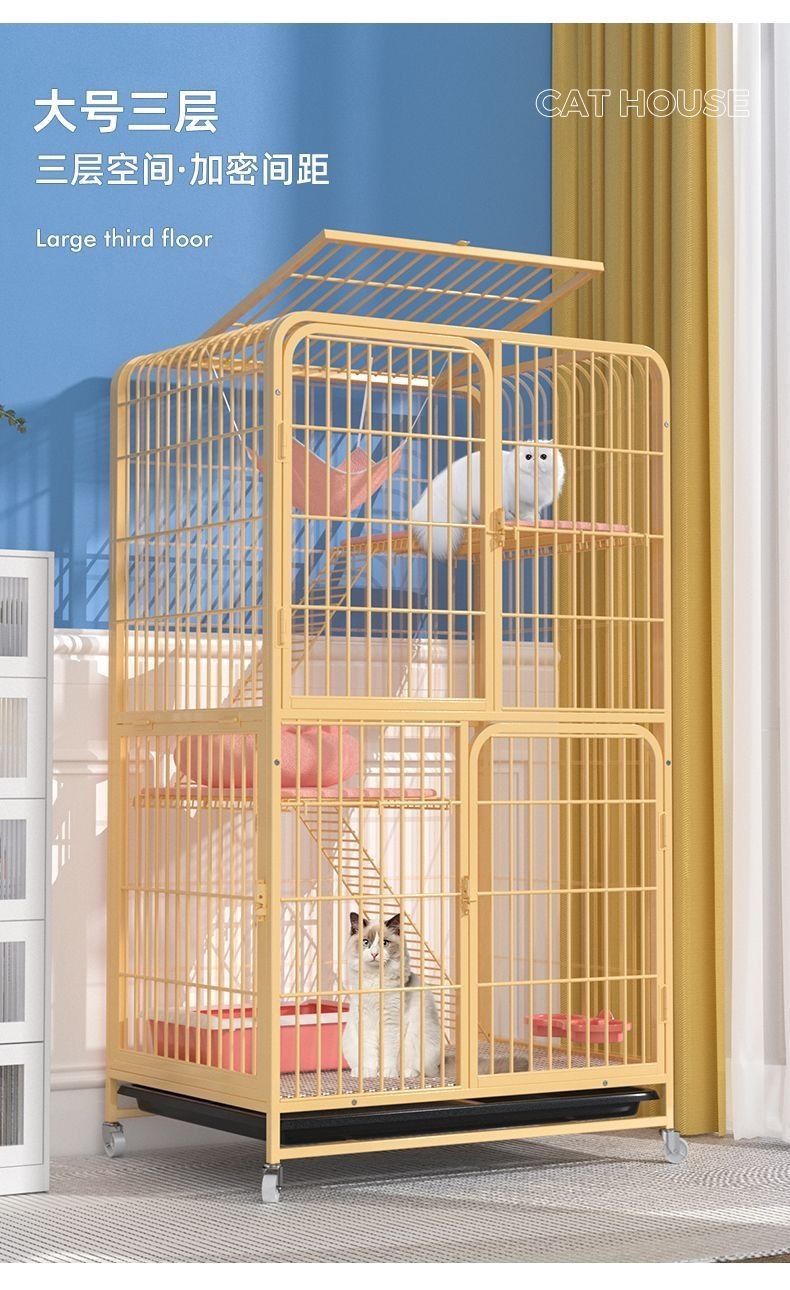 d33b78e9-1ac8-45df-9cbb-6c3d92b51570.jpe