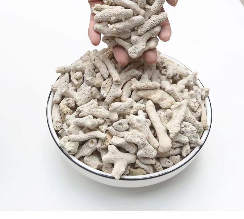 a196b5cd-6371-4cd1-ae9b-580841979d3d.jpe