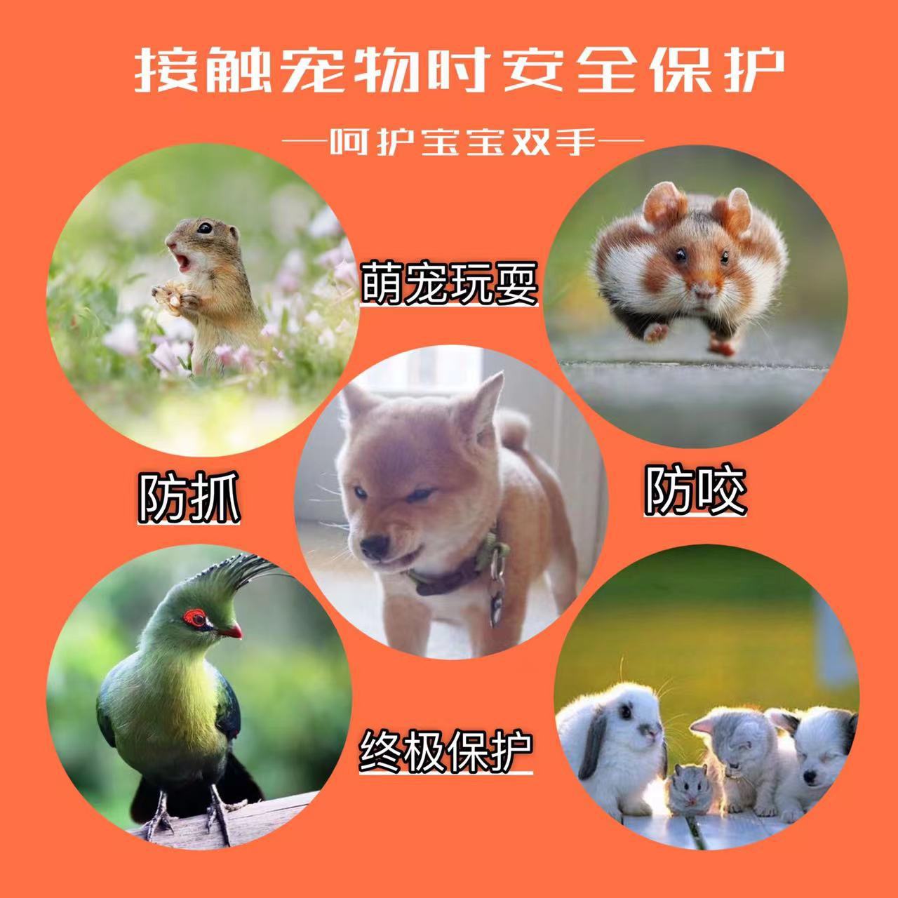 非原图