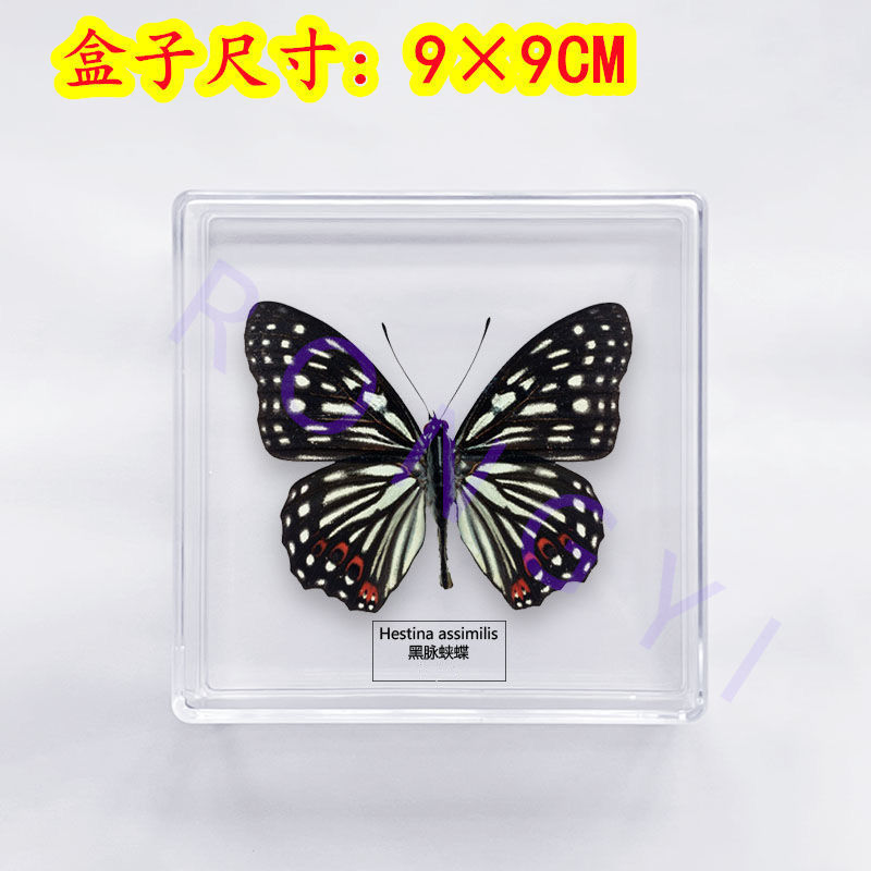e4b68336-d022-4554-9b50-0b9ea00ad890.jpe