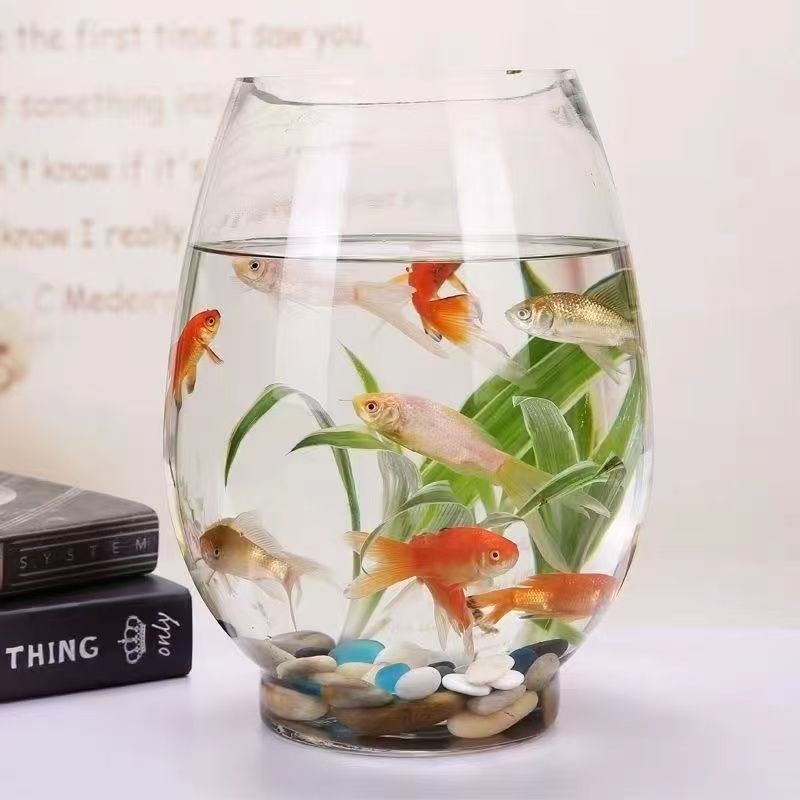 881a5018-5bb7-4f57-9ef0-f85e639ff969.jpe