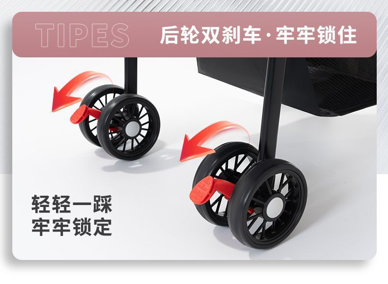 255fe17d-7f18-41d2-80e5-f402fefddc81.jpe