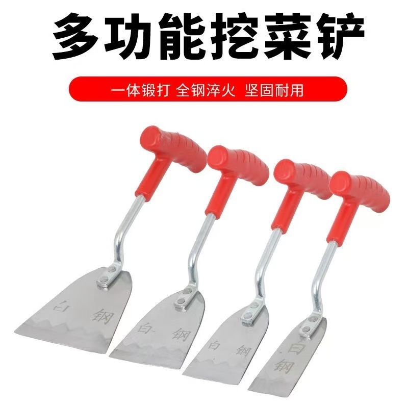 微信图片_202504081900044.jpg