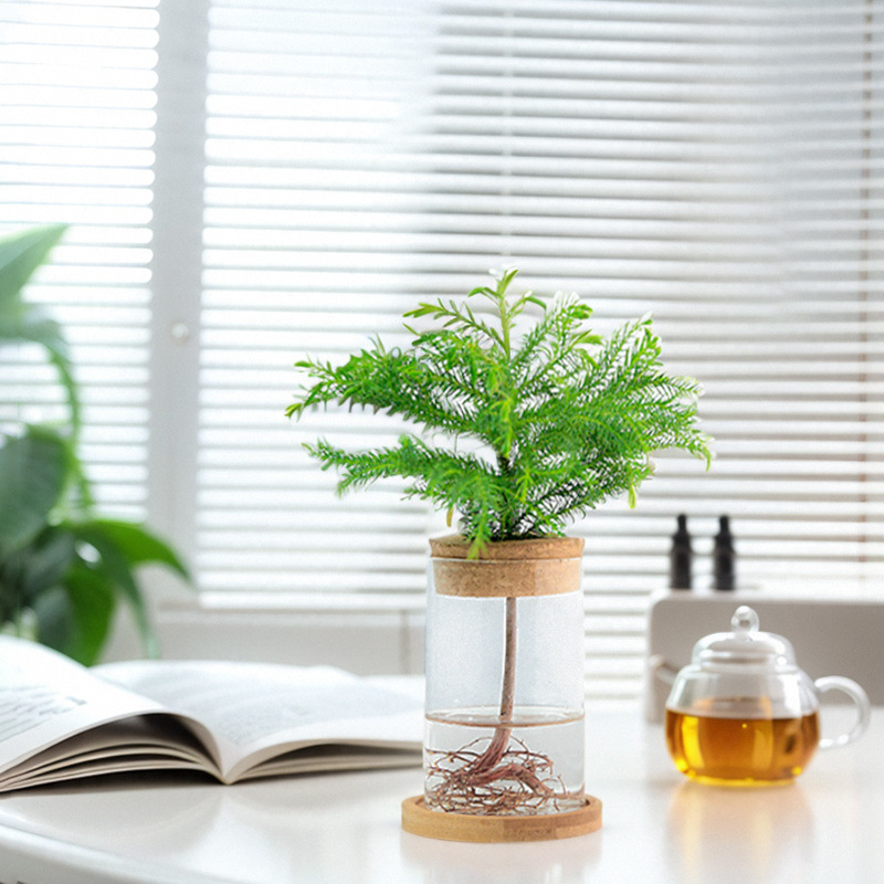 9bf0ce03-1dbf-4f3b-9532-3fe5534c9a74.jpe