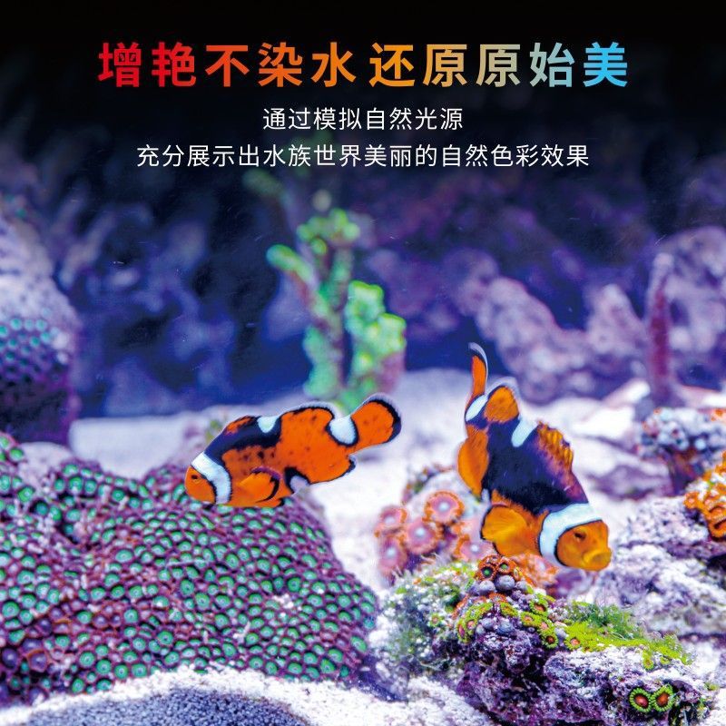 1ec4116b-74fe-4c09-9917-39b09dd6128c.jpe