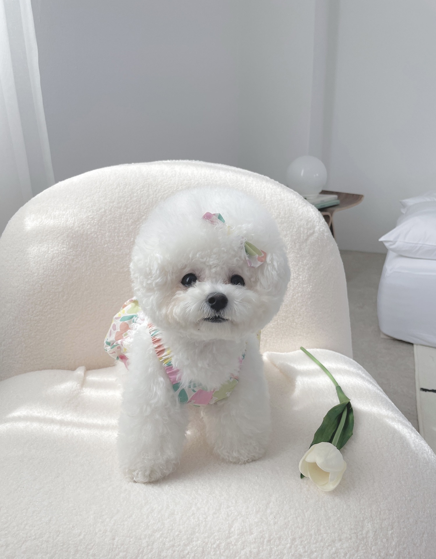 KakaoTalk_20210504_133333390_0