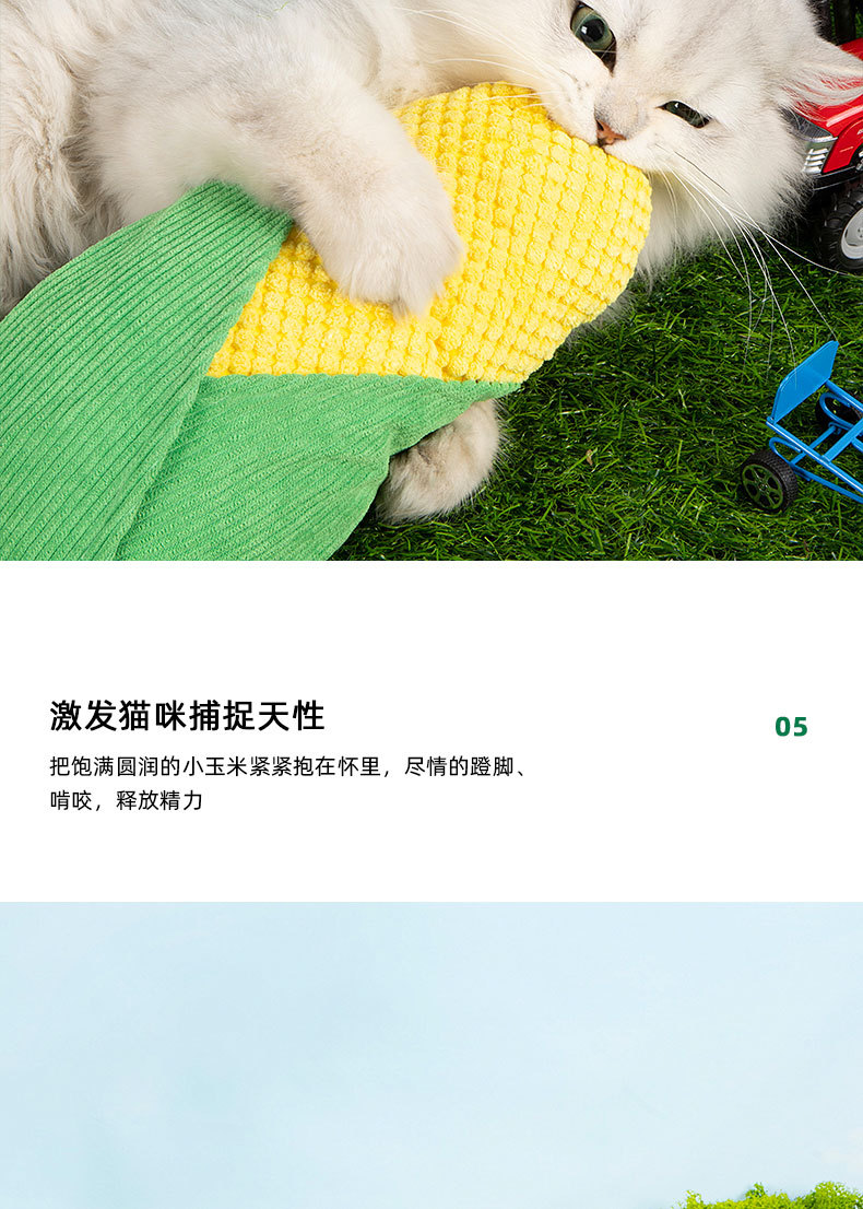 未标题-1_08.jpg