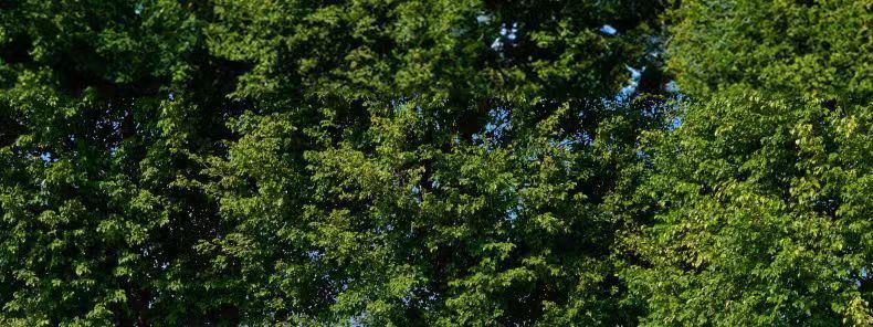 75c2612d-10cf-4e26-81c0-7a9ba6abcce0.jpe