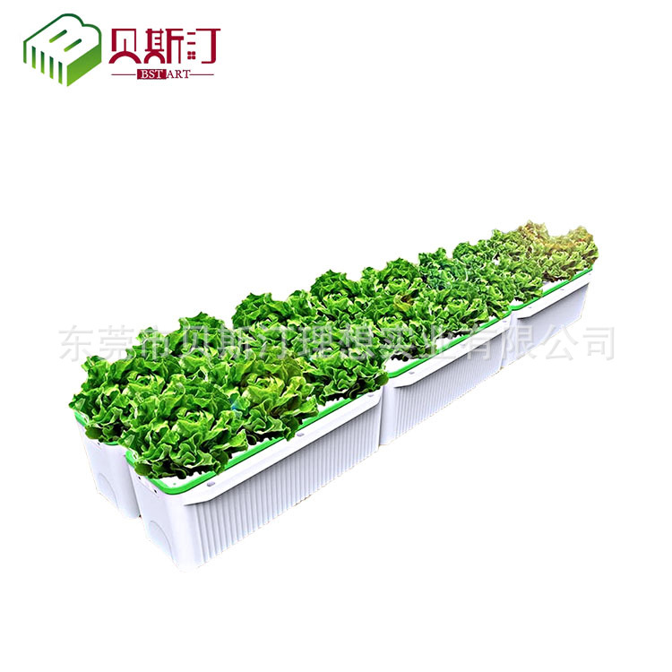 育苗盆栽吸塑盆加工16.jpg