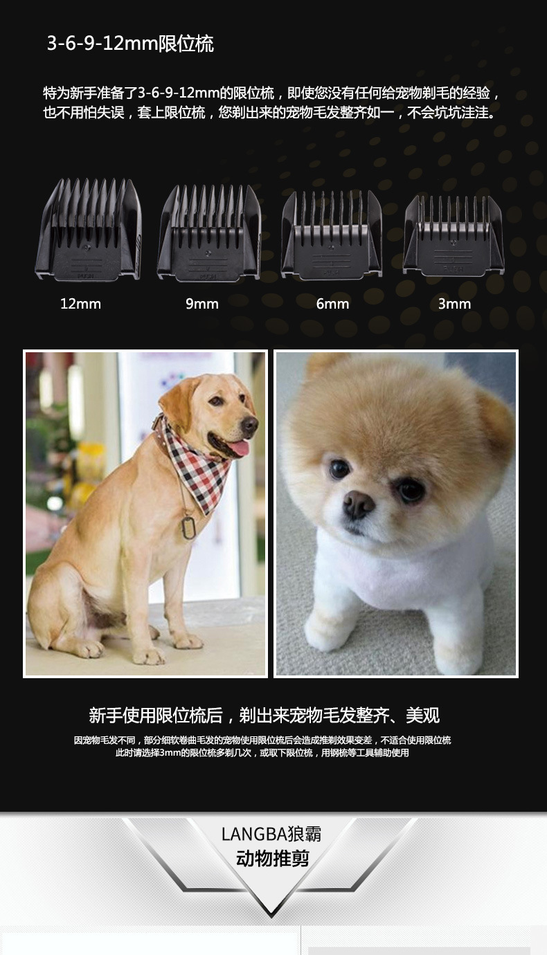 狼霸T45_07.jpg