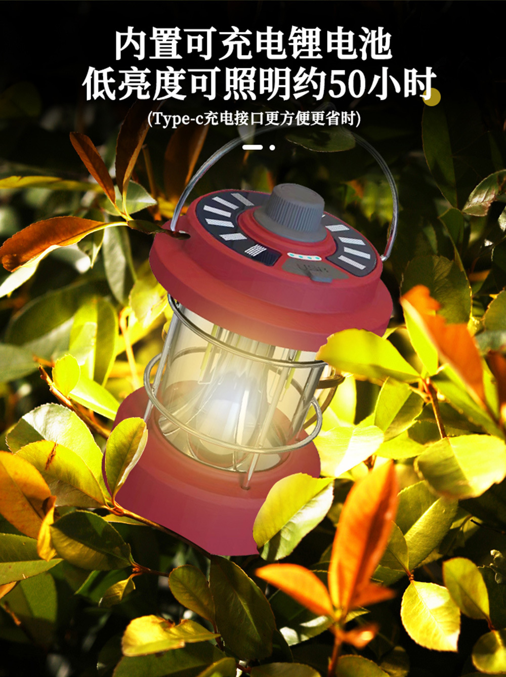 lyd_04.jpg