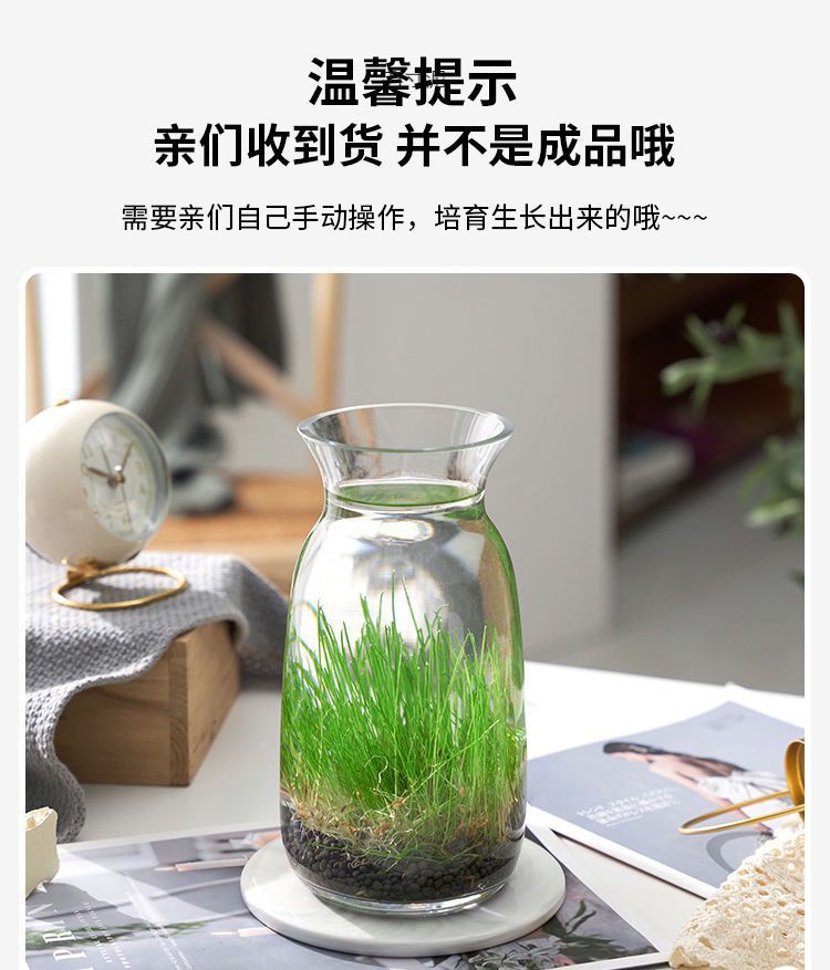 c9523e98-a716-4b3a-a82c-1864aca457f2.jpe