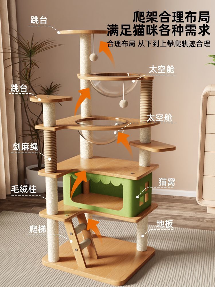 2a9ec37f-0ea4-48fc-9b11-96a9406ff81c.jpe