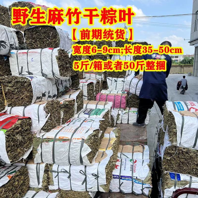 2ef50dba-a7a4-40c1-ad18-5f044096e853.jpe
