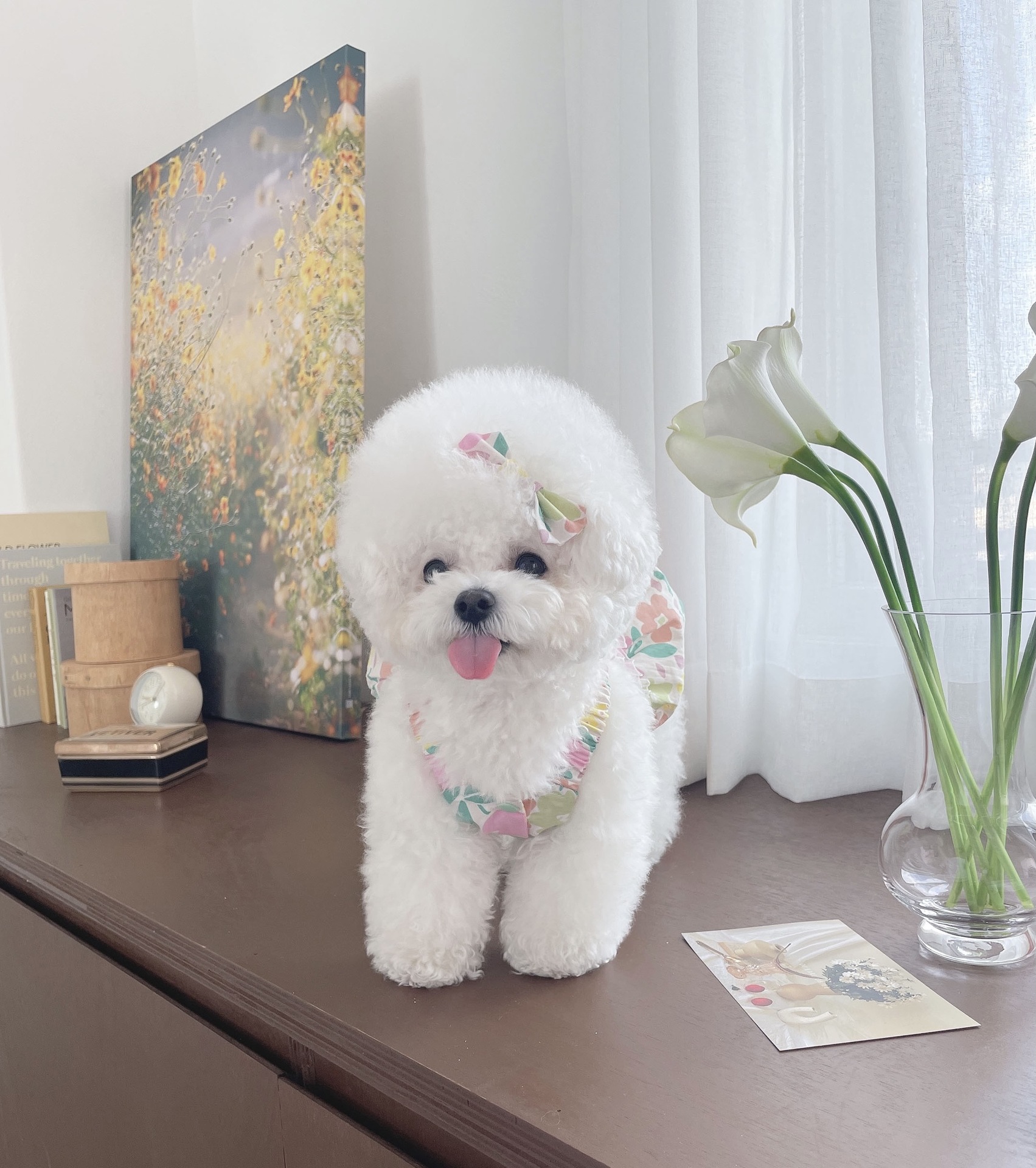 KakaoTalk_20210504_133333390_1