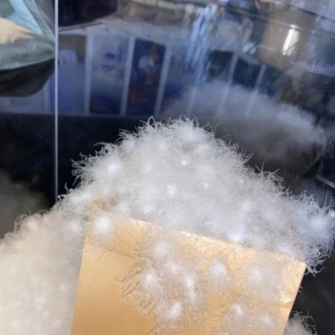 2024-08-30 15:40:34.jpg