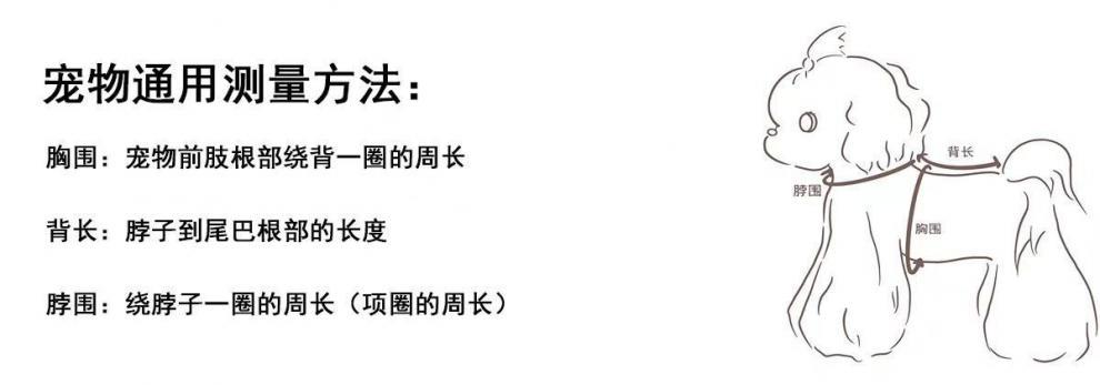 82d30b04-ec71-4bc5-ba5c-514337d27a8f.jpe