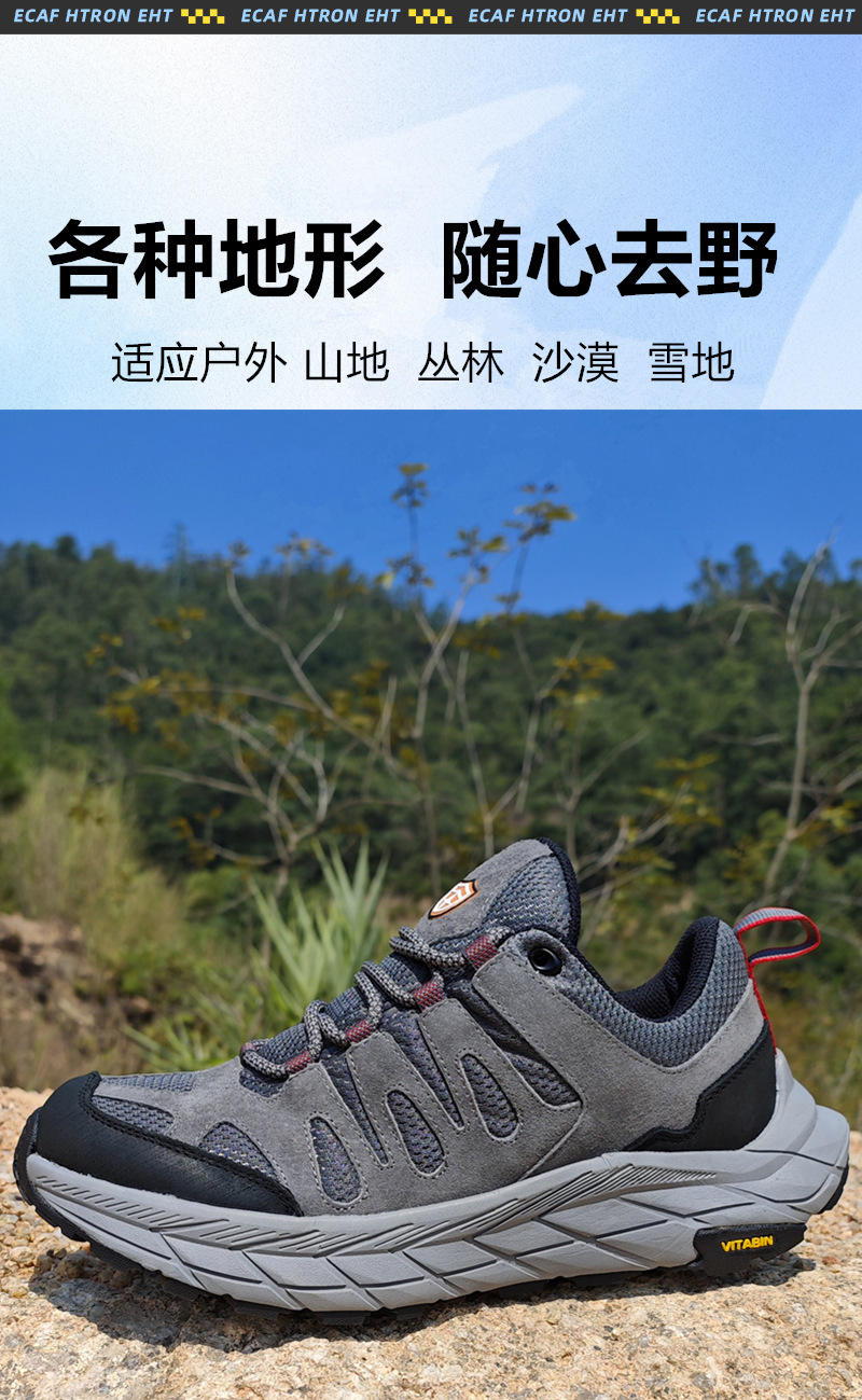 800璇︽儏_01副本.jpg