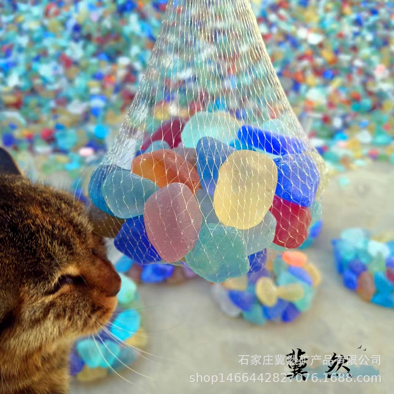 微信图片_20231130174021