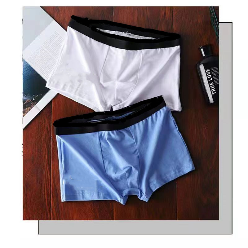 微信图片_20220824142020_副本